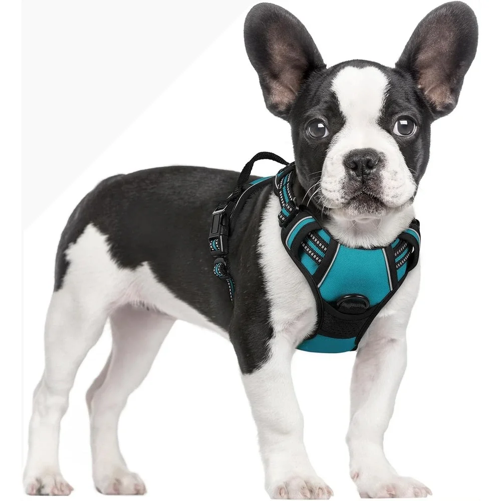 Rabbitgoo Dog Harness XS Teal No Pull Reflective Mesh Adjustabl Walking Vest Pet